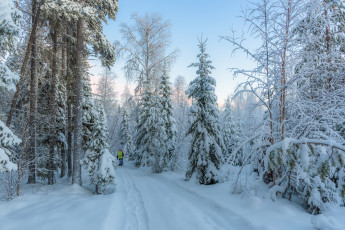 Картинка природа зима простор