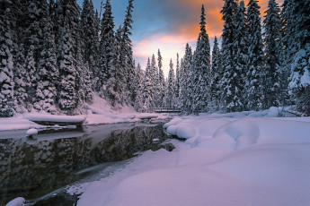 Картинка природа зима простор