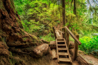 Картинка природа дороги простор