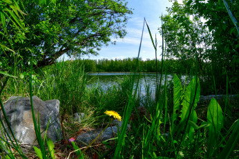 Картинка природа реки озера простор