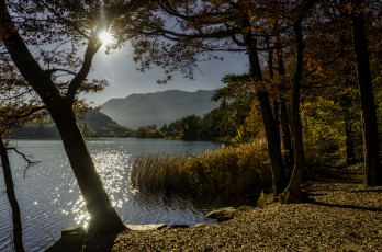 Картинка природа реки озера простор