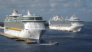 Картинка корабли лайнеры круиз лайнер