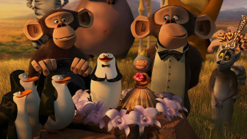 Картинка мультфильмы madagascar +escape+2+africa пингвин лемур обезьяна кукла цветы