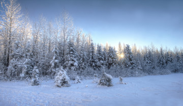 Картинка природа зима простор