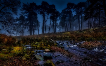 Картинка природа реки озера лес камни поток