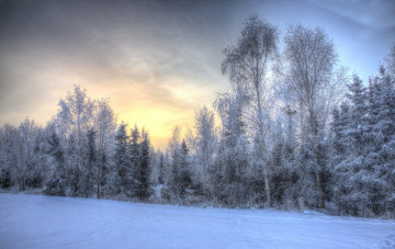 Картинка природа зима простор