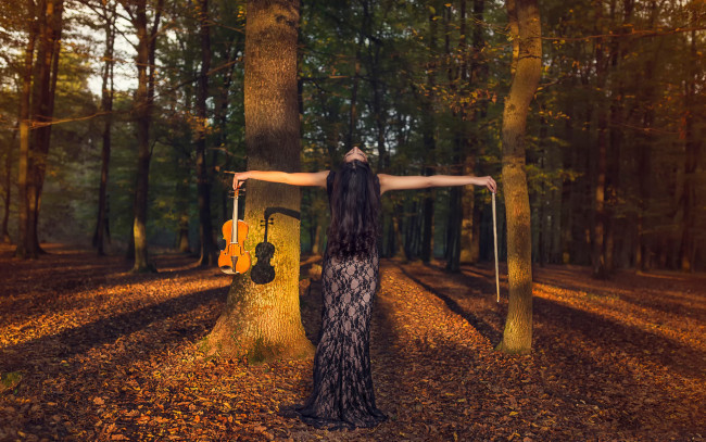 Обои картинки фото музыка, - другое, девушка, листва, деревья, скрипка