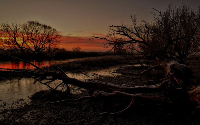 Обои картинки фото природа, реки, озера, коряга