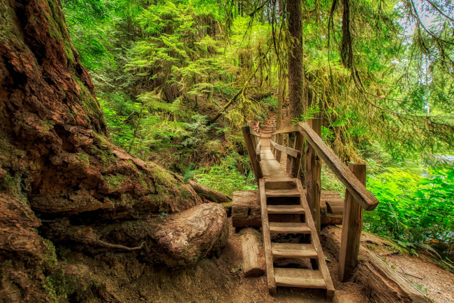 Обои картинки фото природа, дороги, простор