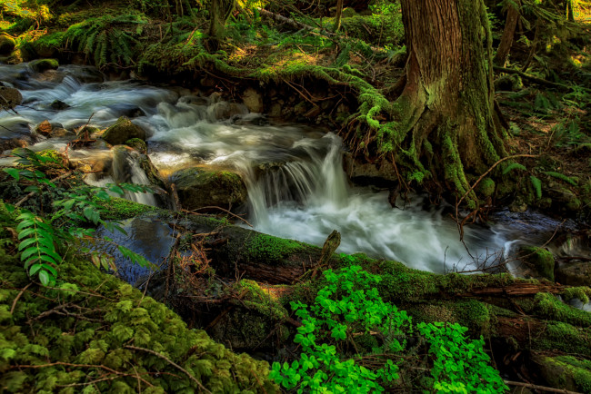 Обои картинки фото природа, реки, озера, простор