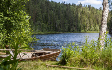 Картинка корабли лодки +шлюпки лес лодка река