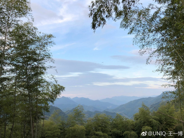 Обои картинки фото природа, лес, деревья, горы, небо