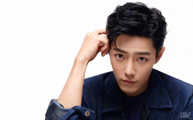 Обои картинки фото мужчины, xiao zhan, актер, рубашка, лицо