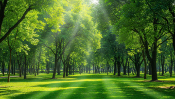 обоя природа, парк, трава, солнце, деревья, обои, тень