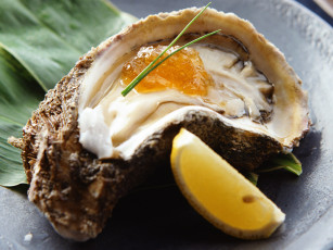 Картинка еда рыба морепродукты суши роллы