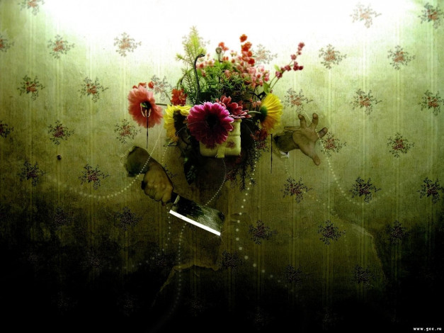 Обои картинки фото разное