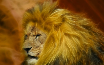 Картинка 3д графика animals животные