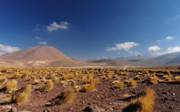 Картинка природа пустыни