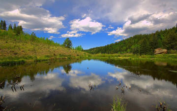 Картинка природа реки озера