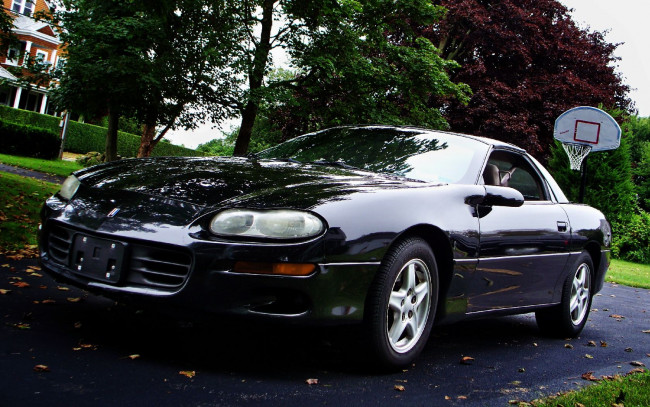 Обои картинки фото автомобили, camaro