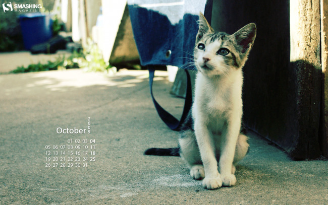 Обои картинки фото календари, животные