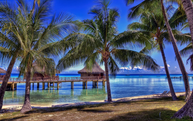 Обои картинки фото природа, тропики