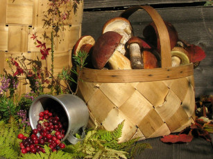 Картинка авт irin ionova еда грибы грибные блюда