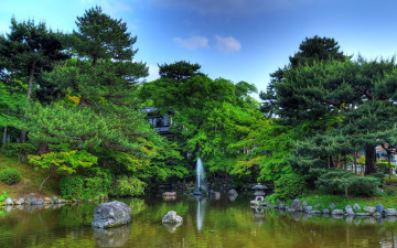 Картинка природа парк