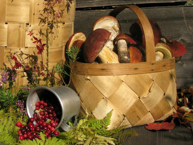 Обои картинки фото авт, irin, ionova, еда, грибы, грибные, блюда