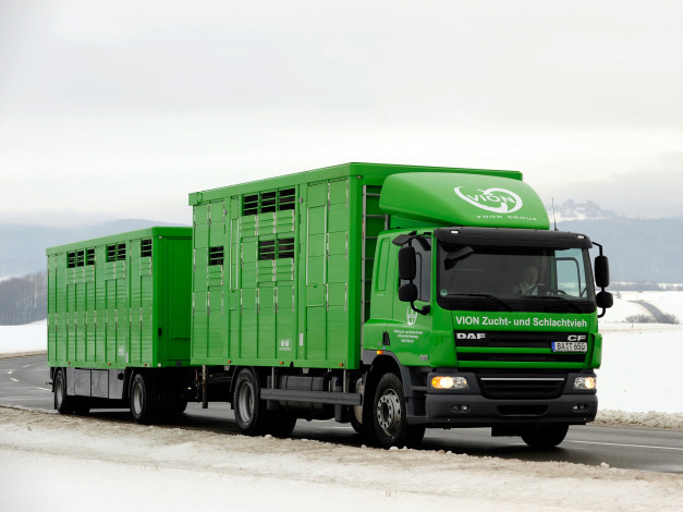 Обои картинки фото автомобили, daf