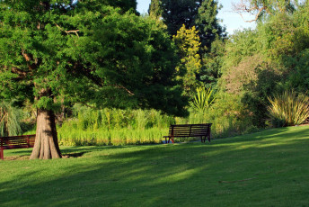 Картинка природа парк скамейка