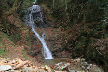 Картинка природа водопады деревья вода