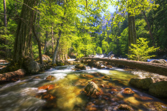 Картинка природа реки озера yosemite