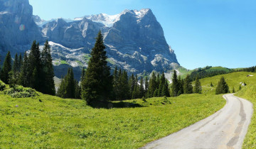 Картинка природа дороги ель гора