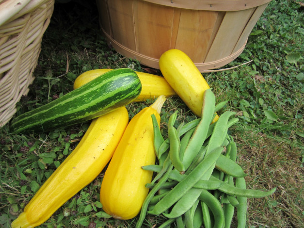 Обои картинки фото еда, кабачки, цуккини, патиссоны