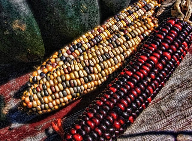 Обои картинки фото еда, кукуруза