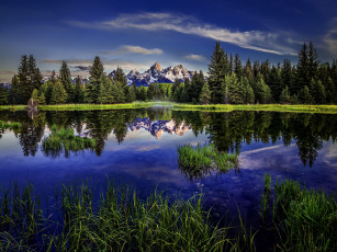 Картинка beaver pond grand teton national park wyoming природа реки озера скалистые горы лес отражение озеро вайоминг гранд-титон rocky mountains
