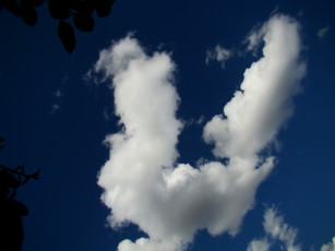 Картинка природа облака