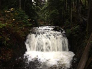 Картинка rolley lake канада природа водопады лес озеро водопад
