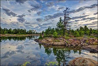 обоя calm, morning, danny, island, природа, побережье, море, остров, скалы, лес, тучи