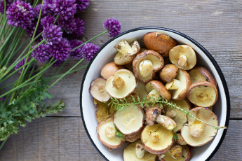Картинка еда грибы грибные блюда маслята аллиум