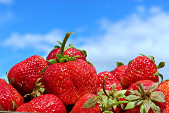 Картинка еда клубника земляника небо ягоды