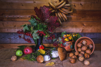 Картинка еда натюрморт грибы орехи калина сушки яблоки