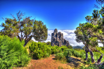 Картинка португалия madeira природа пейзажи горы плато трава деревья тропа скала