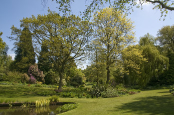 Картинка природа парк деревья пруд цветы