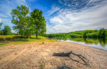Картинка природа реки озера лес река пляж коряга