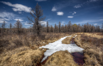 Картинка природа дороги осель поле колея лес трава облака снег