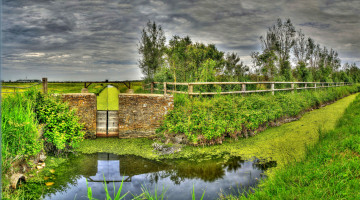 Картинка природа пейзажи дорога поле деревья трава забор лужа