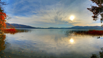 Картинка германия глес природа реки озера река рассвет камыши деревья