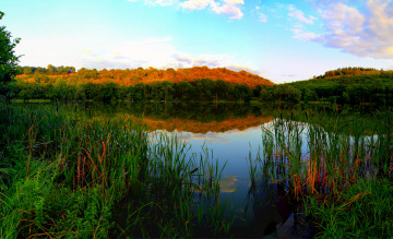 Картинка эльшайд германия природа реки озера лес камыши река